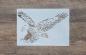 Preview: Schablone fliegender Adler II DIN A 4